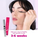dabalash-professional-eyelash-eyebrow-gr-4.jpg