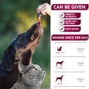 cat-dog-uti-treatment---urinary-tract-in-5.jpg