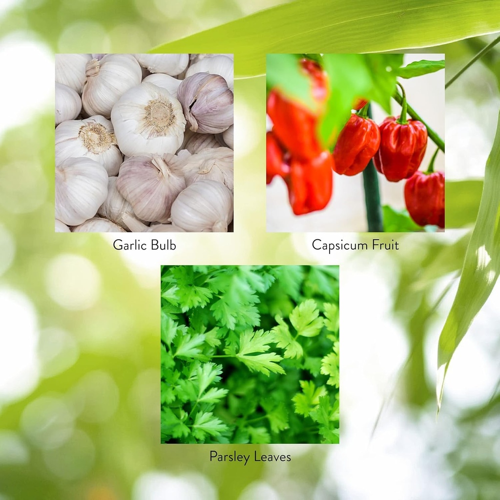 natures-sunshine-capsicum-garlic-wparsle-5.jpg