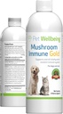 pet-wellbeing-more-mushrooms-kit-for-dog-2.jpg