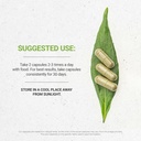 secrets-of-the-tribe---muscle-tension-ca-2.jpg