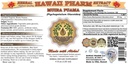 hawaiipharm-muira-puama-ptychopetalum-ol-2.jpg
