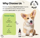 forever-puppy-hawthorn-berry-drops-for-d-6.jpg