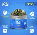 whole-food-microgreens---us-grown-small--3.jpg