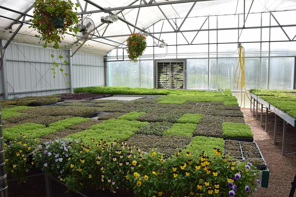 whole-food-microgreens---us-grown-small--5.jpg