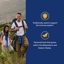 puritans-pride-premium-echinacea-natural-2.jpg