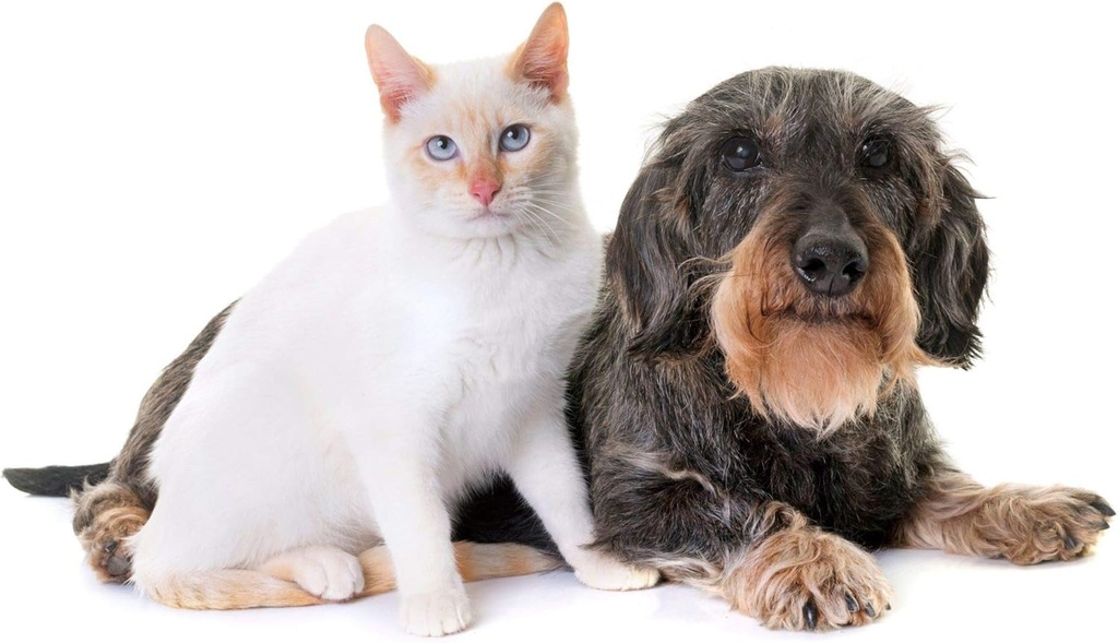 cat-urinary-health-treats---pets-urinary-3.jpg