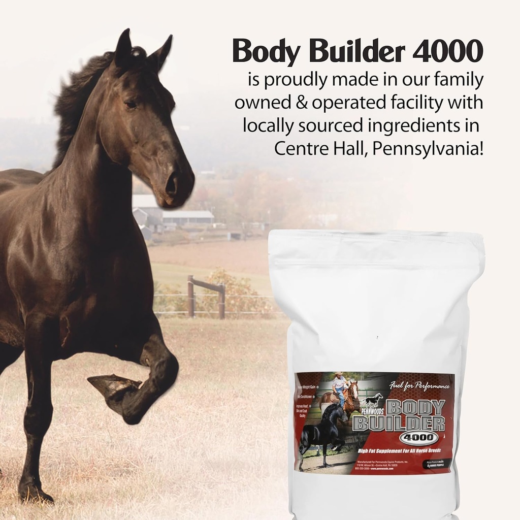 pennwoods-body-builder-4000-horse-weight-4.jpg