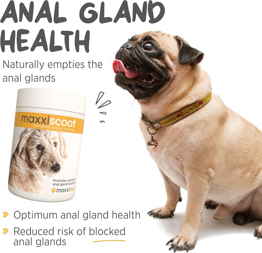 maxxipaws-maxxiscoot-anal-gland-digestiv-3.jpg
