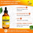glucosamine-for-cats-dog-joint-liquid-su-2.jpg