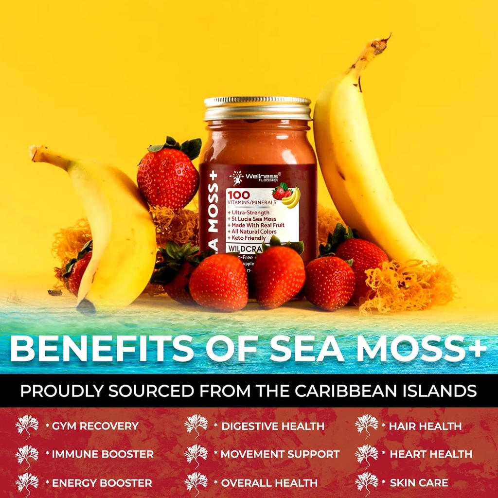 irish-sea-moss-gel-raw---wildcrafted-sup-4.jpg
