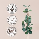 thyme-60-capsules-high-potency-capsules--4.jpg