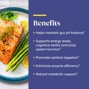 enzymedica-ph-basic-includes-digestive-e-4.jpg