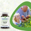 kelp---90-veggie-caps-5.jpg