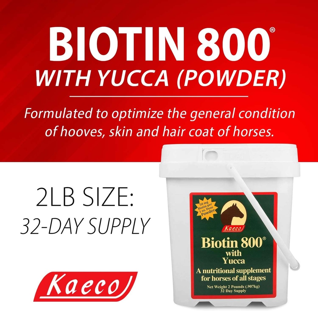 biotin-800-powder-2.jpg