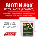 biotin-800-powder-2.jpg
