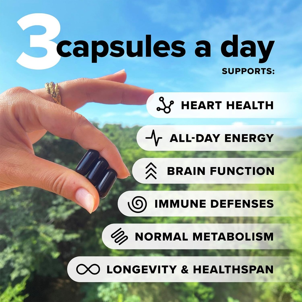 complement-forher-essential-multivitamin-2.jpg