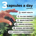 complement-forher-essential-multivitamin-2.jpg