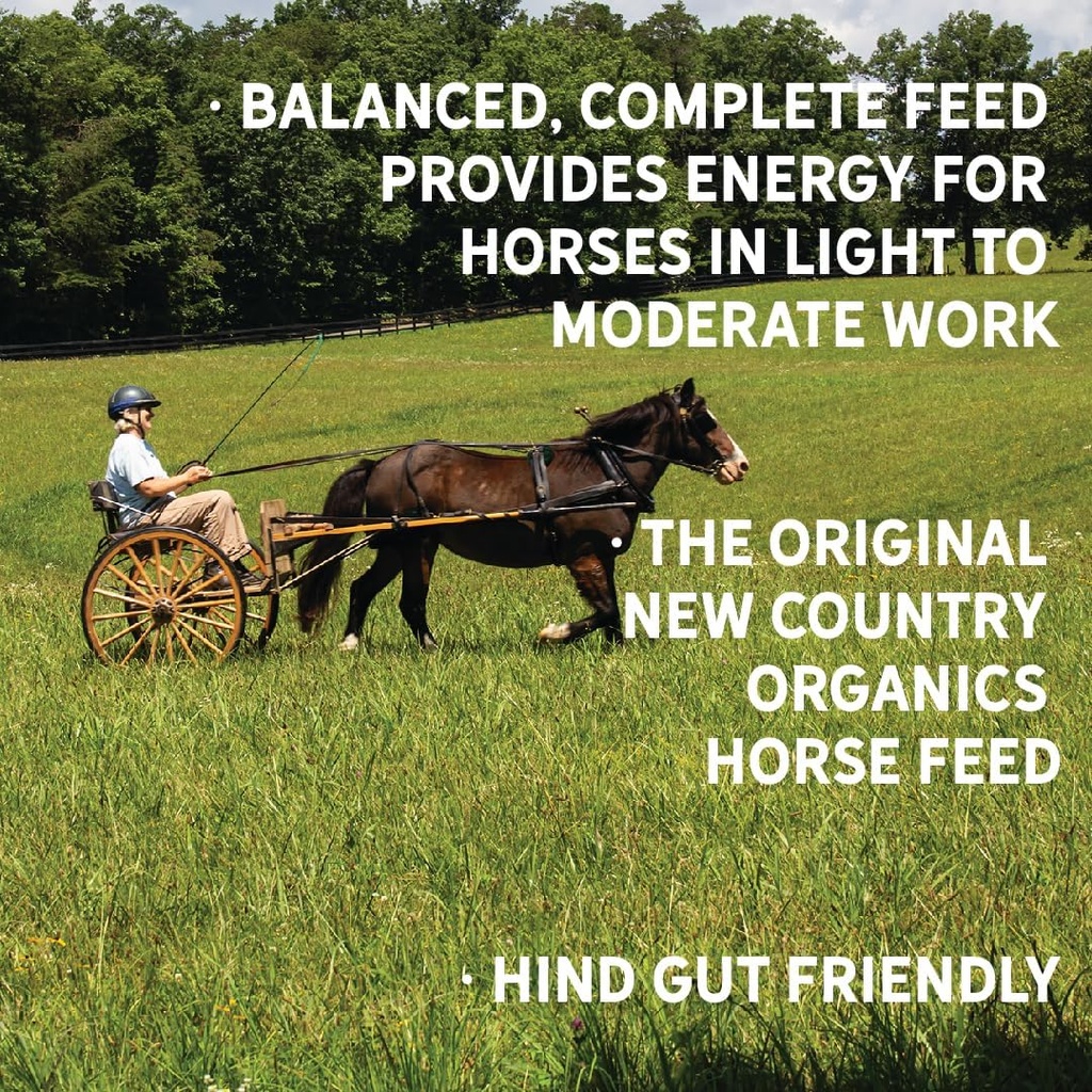 new-country-organics-performance-horse-f-4.jpg