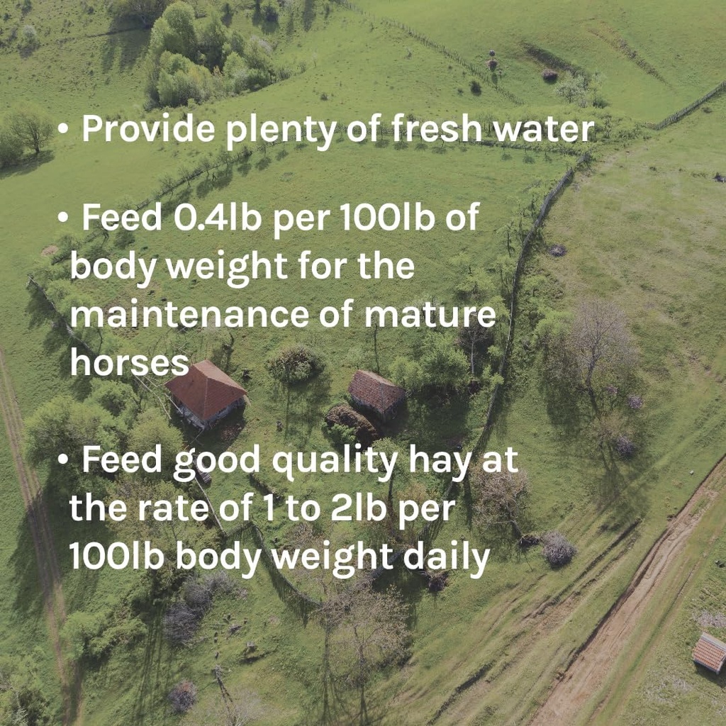 new-country-organics-performance-horse-f-6.jpg