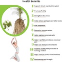 shatavari-asparagus-racemosus-thaneervit-3.jpg