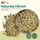 ny-spice-shop-goldenseal-root-herb-cut-s-4.jpg