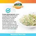 maximum-living---vita-sprout-whole-food--5.jpg