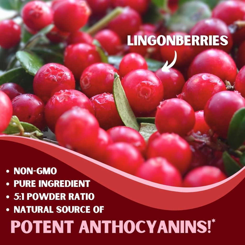 lingonberry-powder-7500mg-for-urinary-tr-3.jpg