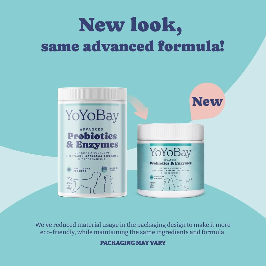 probiotics-for-dogs-for-gut-health-and-d-2.jpg