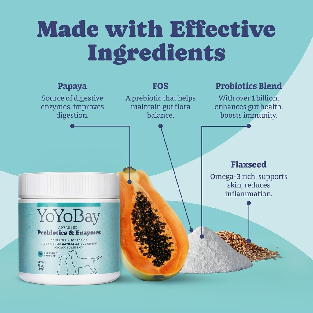 probiotics-for-dogs-for-gut-health-and-d-4.jpg