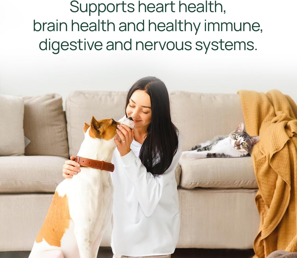 pawtree-salmon-oil-dog-and-cat-fish-oil--4.jpg