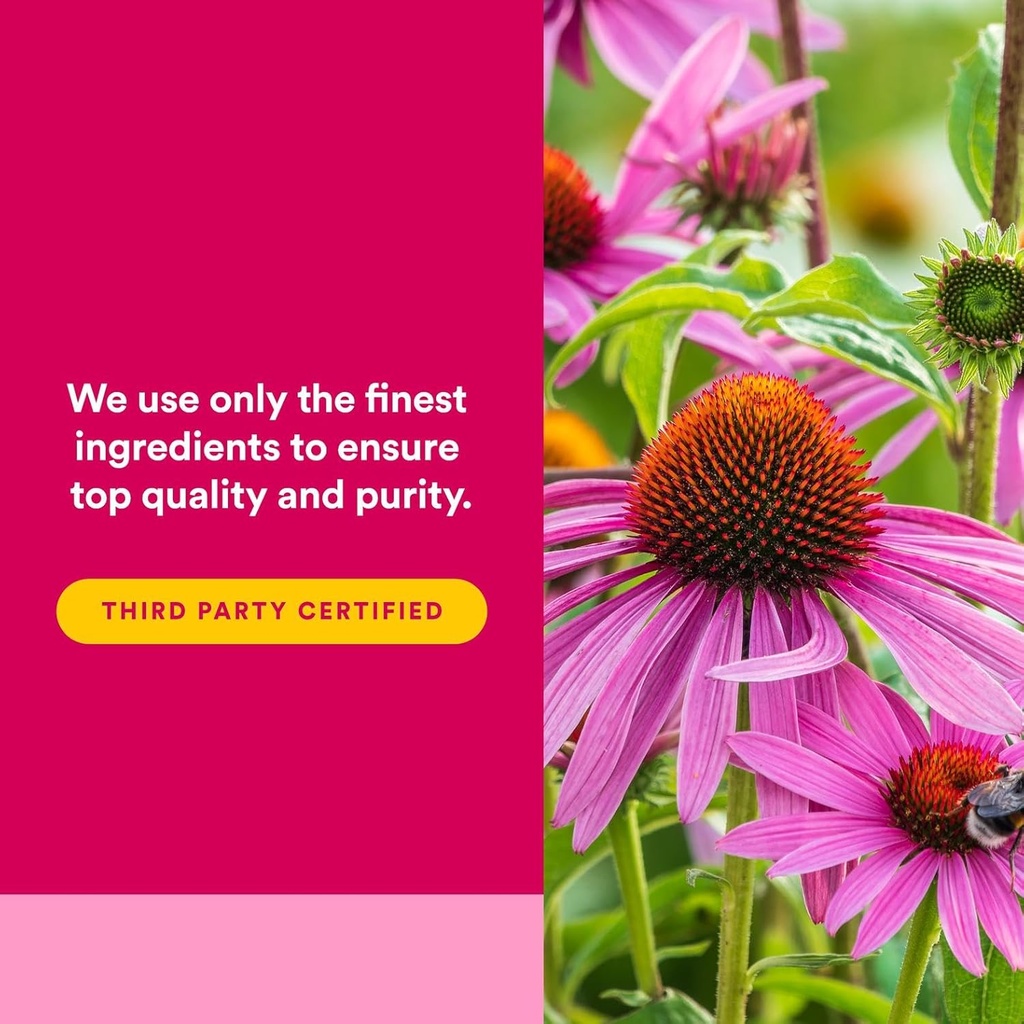 natural-factors-echinamide-echinacea-sup-5.jpg