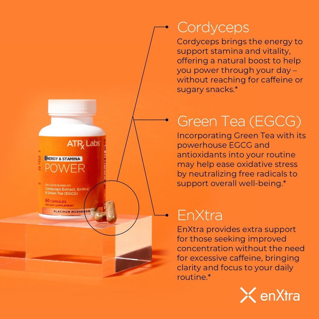 power-energy-stamina---mushroom-suppleme-3.jpg