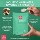 dao-labs-emotional-balance---emotional-b-6.jpg