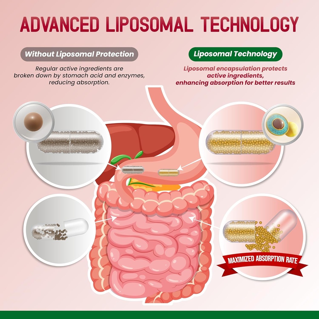 liposomal-d-mannose-cranberry-supplement-6.jpg