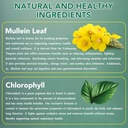 mullein-leaf-extractmullein-drops-for-lu-6.jpg