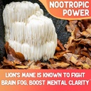 xprs-nutra-fungi-fusion-mushroom-blend-c-4.jpg