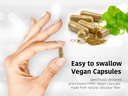dr-wakdes-organic-lodhra-capsules-symplo-3.jpg