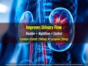biotest-p-well---upstream-to-prostate-pr-4.jpg