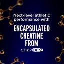 fitaid-rx-zero-sugar-encapsulated-creati-5.jpg