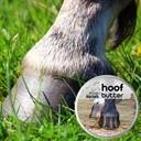 the-blissful-horses-hoof-butter-all-natu-2.jpg