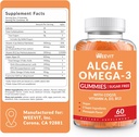 sugar-free-omega-3-gummies-algae-omega-3-2.jpg