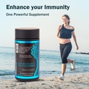 sea-cucumber-supplement-wild-caught-sea--5.jpg