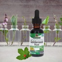 natures-answer-golden-seal-root-extract--3.jpg