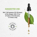 secrets-of-the-tribe---menopause-secret--3.jpg