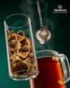 turkey-tail-mushroom-trametes-versicolor-3.jpg