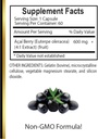acai-berry-extract---acai-berry-antioxid-5.jpg
