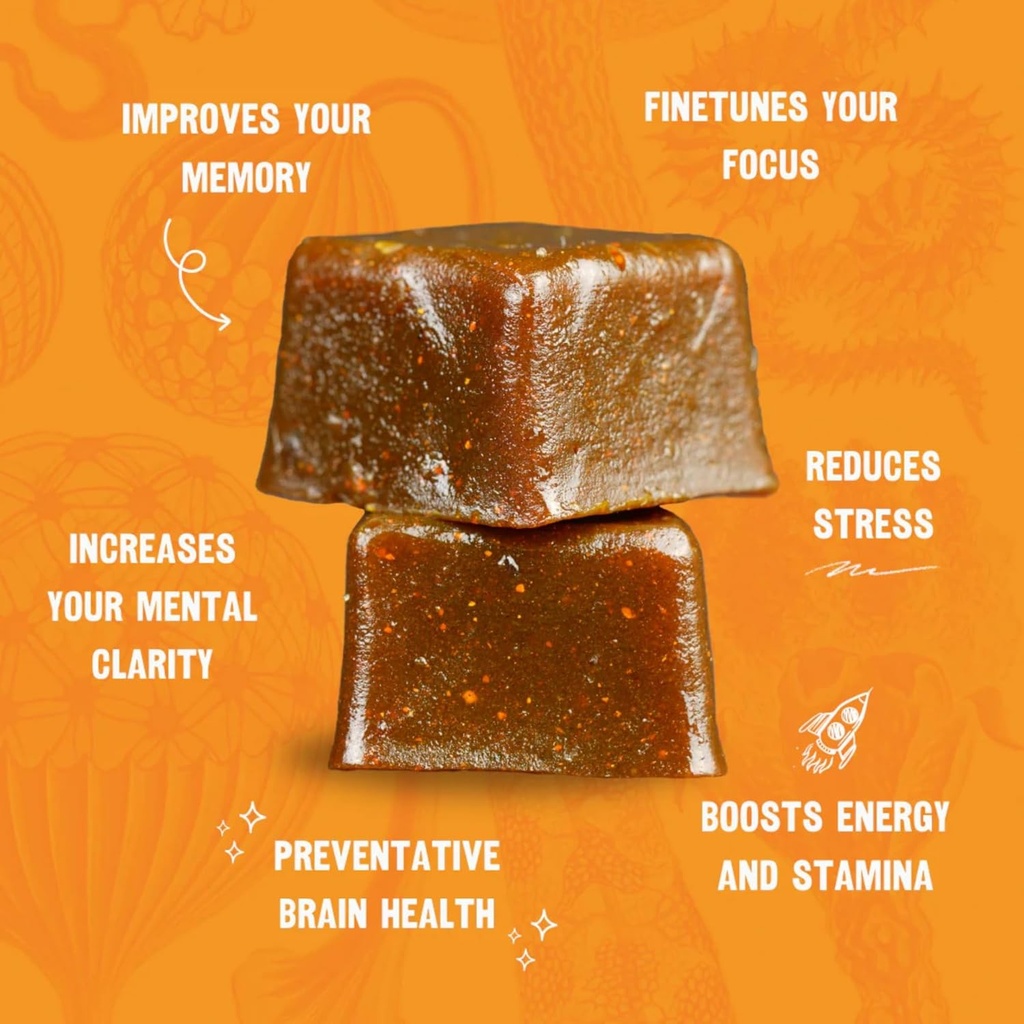 omfg-mushroom-gummies-for-brain-health-s-3.jpg