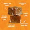 omfg-mushroom-gummies-for-brain-health-s-3.jpg