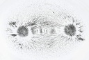 bulk-iron-filings--1-lb-iron-filings-for-5.jpg